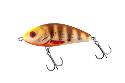 SALMO FATSO 10cm Spotted Brown Perch.jpg