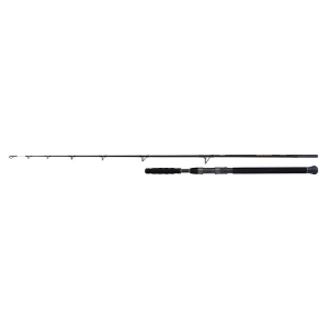 SHIMANO Beastmaster Catfish Vertic 1.85m 200g 1+1