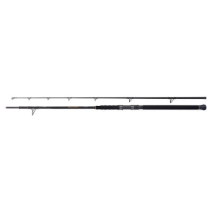 SHIMANO Beastmaster Catfish Multi Spin 2.30m 200g