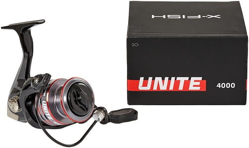 /environment/cache/images/productGfx_110031_700_700/Favorite-X-Fish-Unite.5.jpg