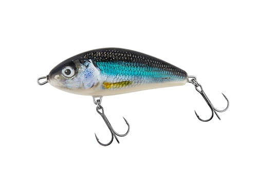 Salmo Fatso HOLO SMELT.jpg