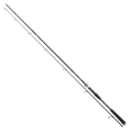 Daiwa Exceler Spin.1.jpg