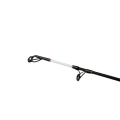 SHIMANO Beastmaster AX Catfish Vert 1,85m 200g 1+1 3.jpg