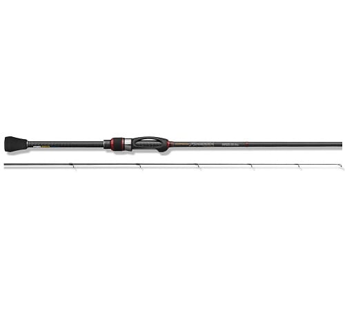 Graphiteleader Finezza Prototype.jpg