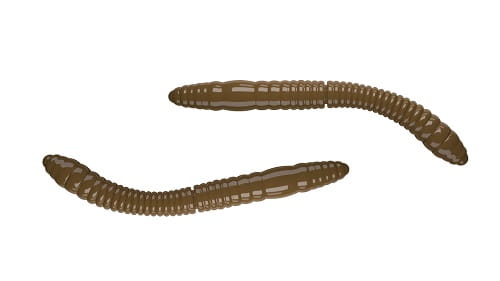 Libra Lures FATTY D'WORM 55mm Kol.38.jpg