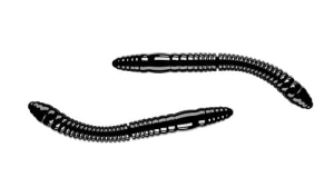 Libra Lures FATTY D'WORM 55mm Ser Kol.40 12db.