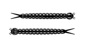 Libra Slight Worm 38mm Kryl Kol.40 15db.