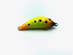 Gloog Hektor 40 N Color Toxic Larva S
