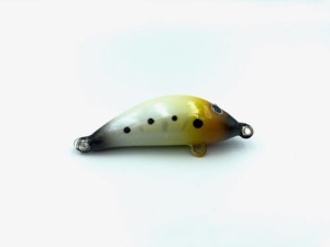 Gloog Hektor 40 SR Color Larva