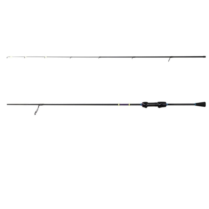 DEPLHIN.jpg
