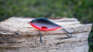 Kashub-Bait Jerk Danire 6 Bomba 15G S