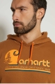 Bluza Carhartt Graphic Hooded Sweatshirt S1.jpg