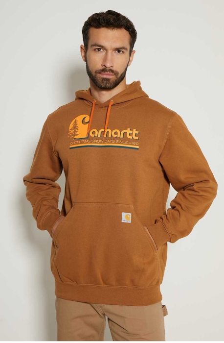 Bluza Carhartt Graphic Hooded Sweatshirt S.jpg