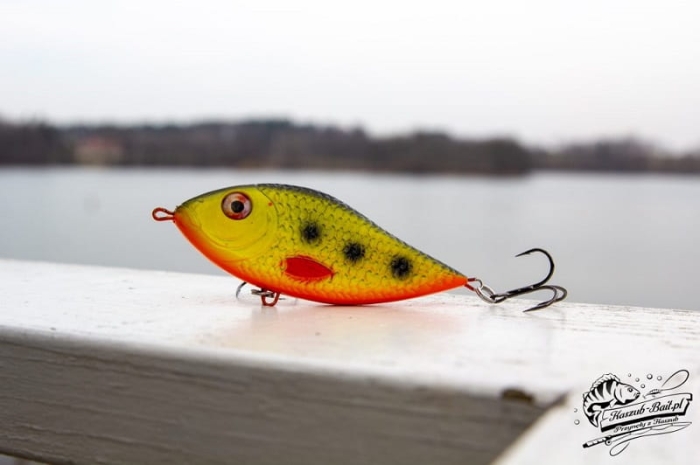 Kaszub-Bait Jerk Danire 15 ZTB.jpg