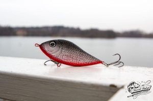 Kashub-Bait Jerk Danire 8 Bomb 30G S