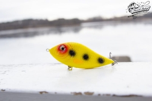 Kashub-Bait Jerk Danire 8 ZK 30G S