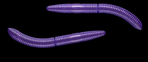Libra Lures Fatty D'Worm 65mm Cheese Col.20 10pcs