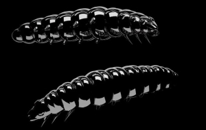 Libra Lures Larva 45mm Krill Col.040 8db 8db