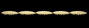 Libra Lures Larva Multi 005 Cheese Cheese sajt 25db