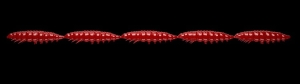 Libra Lures Larva Multi 021 Red Cheese 25 db
