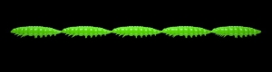 Libra Lures Larva Multi 026 Hot Green Cheese 25 db