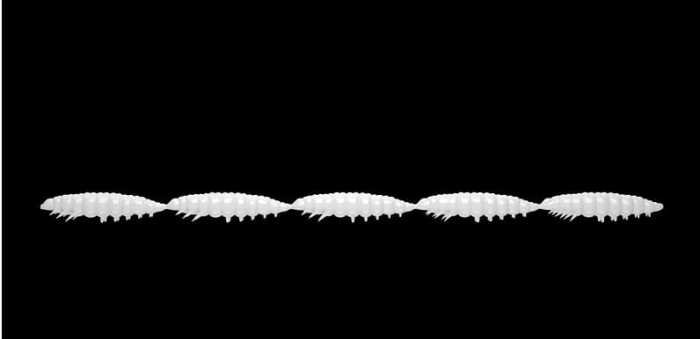 Libra Lures Larva Multi 004 Silver Pearl Che 65762323567235`.jpg