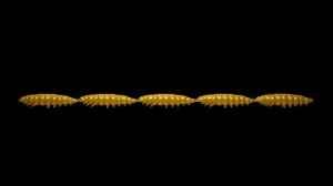 Libra Lures Larva Multi 036 Kávé tej Krill25db