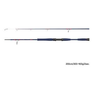 Delphin FYORD BigBOAT 200cm 300-400g 2cz S