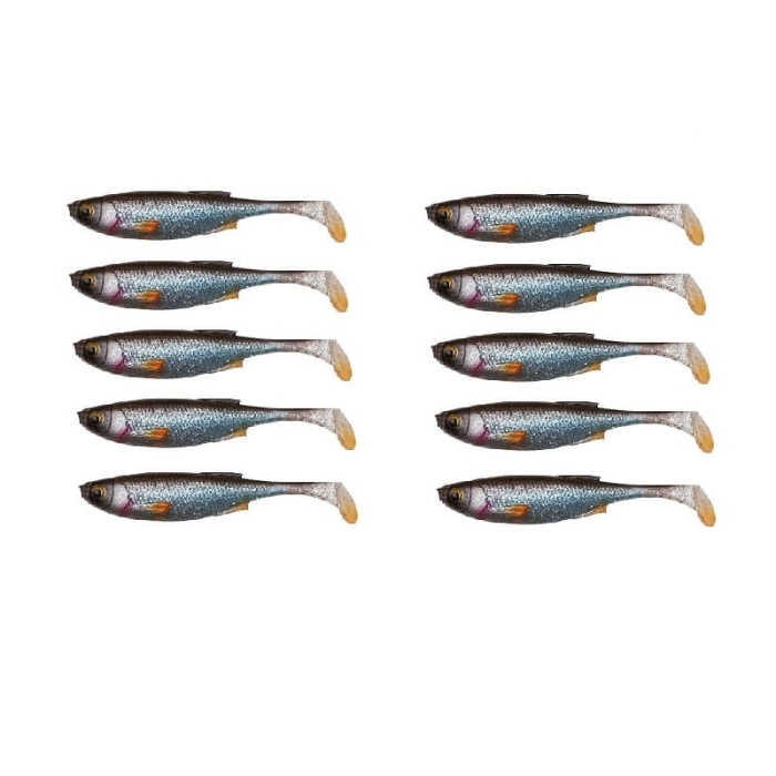 ROACH.jpg
