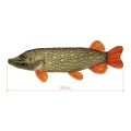 Delphin PIKY Pluszowy Szczupak 60cm 1.jpg