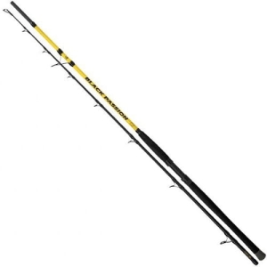 Black Cat Passion G2 2,40m 50-200g 2cz S