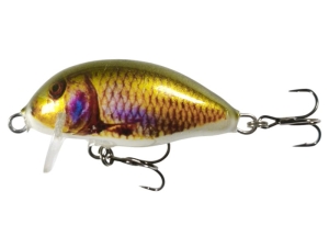 Wobbler Kenart Chubby 4 GO