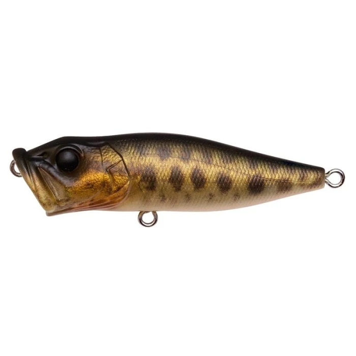 Megabass Popper Megabass POPX FA Baby Raigyo 64mm.jpg