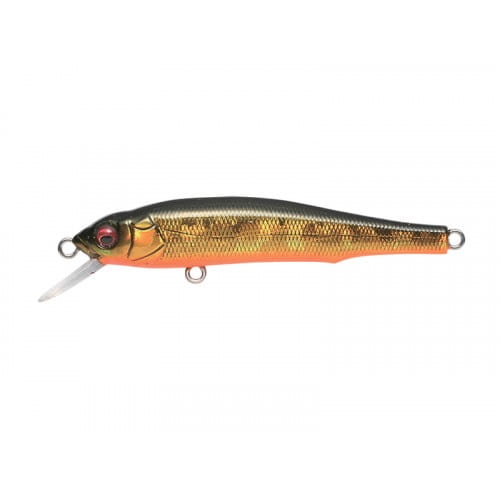 Wobler Megabass X-70 #005 GG Megabass Kinkuro.jpg