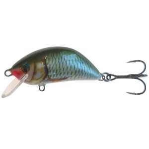 Wobbler Kenart Hunter 6 R