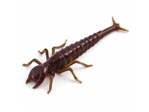 FishUP Diving Bug 5cm #050 Zöld tök barna piros lila 8db