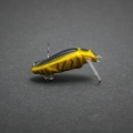 GDB-35-F-BK.jpg