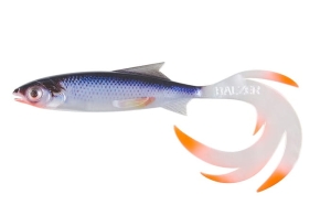 BALZER Reptile Shad Print 11cm Roach 1db