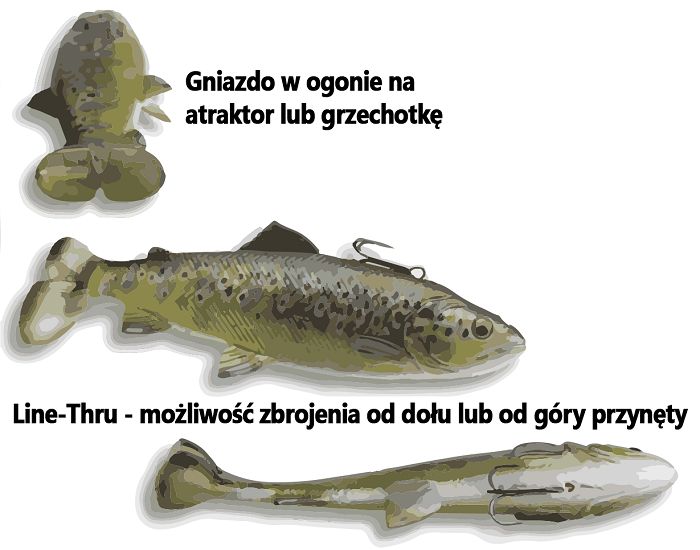 /environment/cache/images/productGfx_48892_700_700/4d-pulsetail-trout-wyglad.jpg