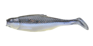 Realistic Shad FAT 7cm P7 029 10db