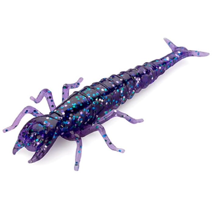 diving-bug-2-060.jpg