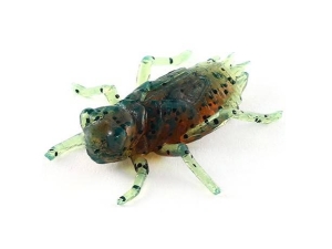 FishUP Dragonfly 1,2" #017 Motor Oil Pepper 10db.