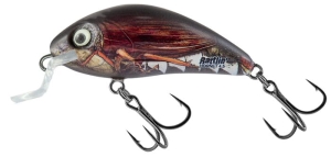 Salmo RATTLIN' HORNET SHALLOW 4.5cm 5.5g Real Cockchafer