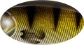 C606E (kolor woblera Strike Pro).png