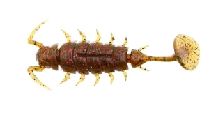 LUCKY JOHN ALIEN BUG 1.5" 3.8cm PA03 10db.