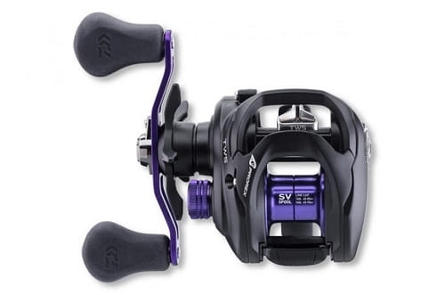 /environment/cache/images/productGfx_73462_700_700/DAIWA-Multiplikator-Daiwa-Prorex-TW-100SV-L.1.jpg