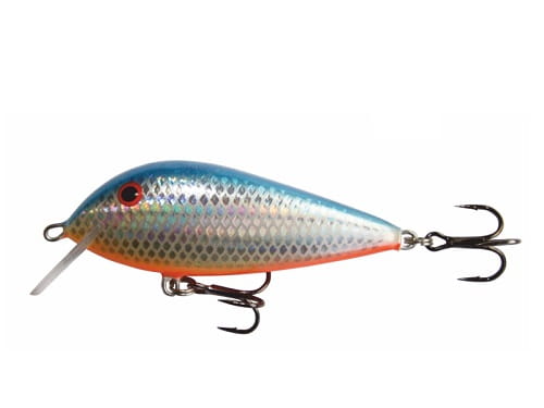 Wobler Kenart Bass 7 HBO.jpg