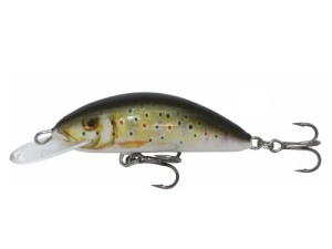 Wobbler Kenart Fox 7 TR