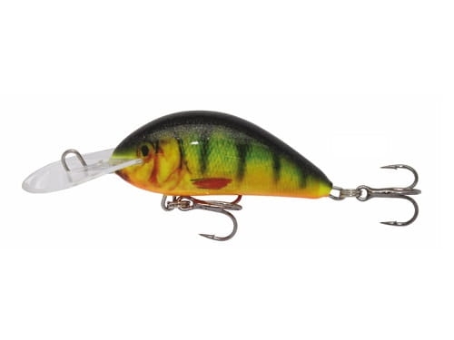 Wobler Kenart Shark NPX.jpg