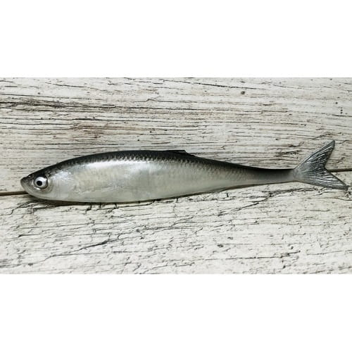 ukleja-16-cm-czarna-naturalny-ogon.jpg